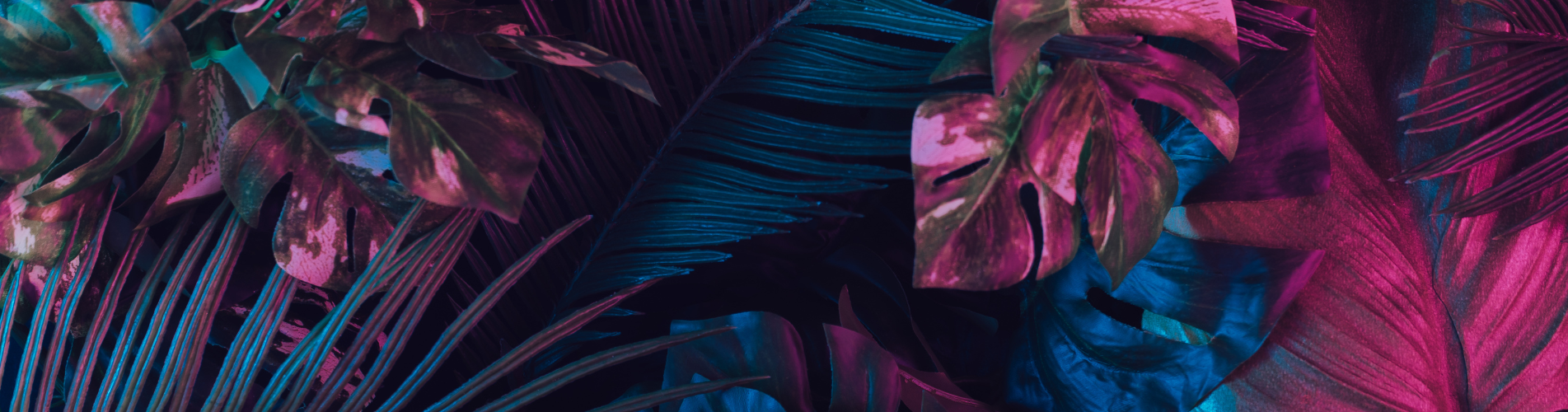 Entertainment_header4